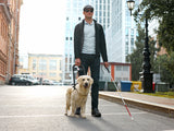 Image of a visually impaired man using a white mobility cane and being led by a seeing eye dog.