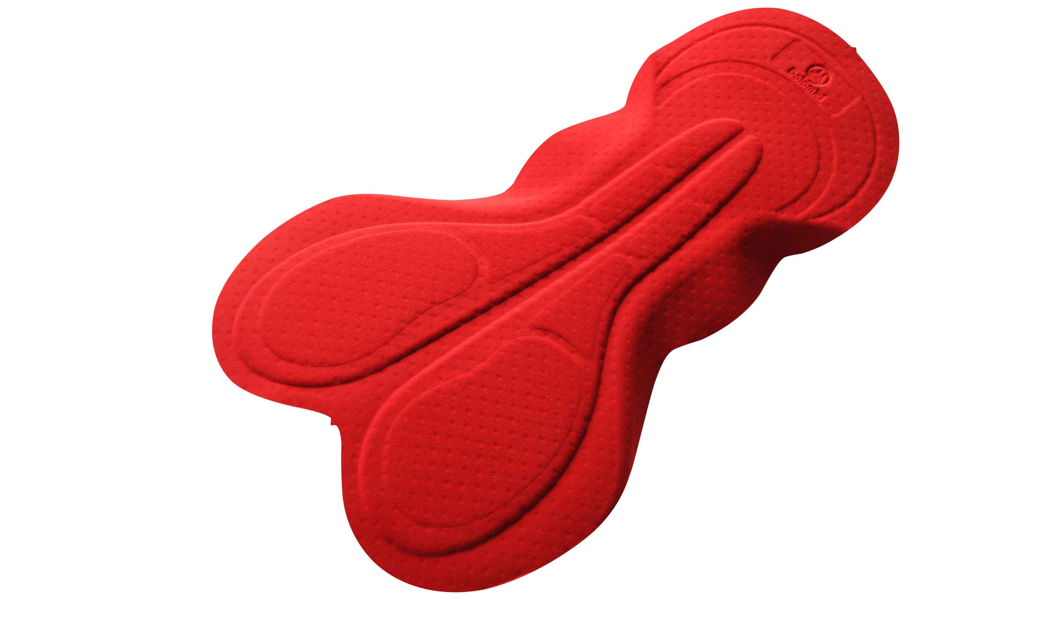 chamois pad