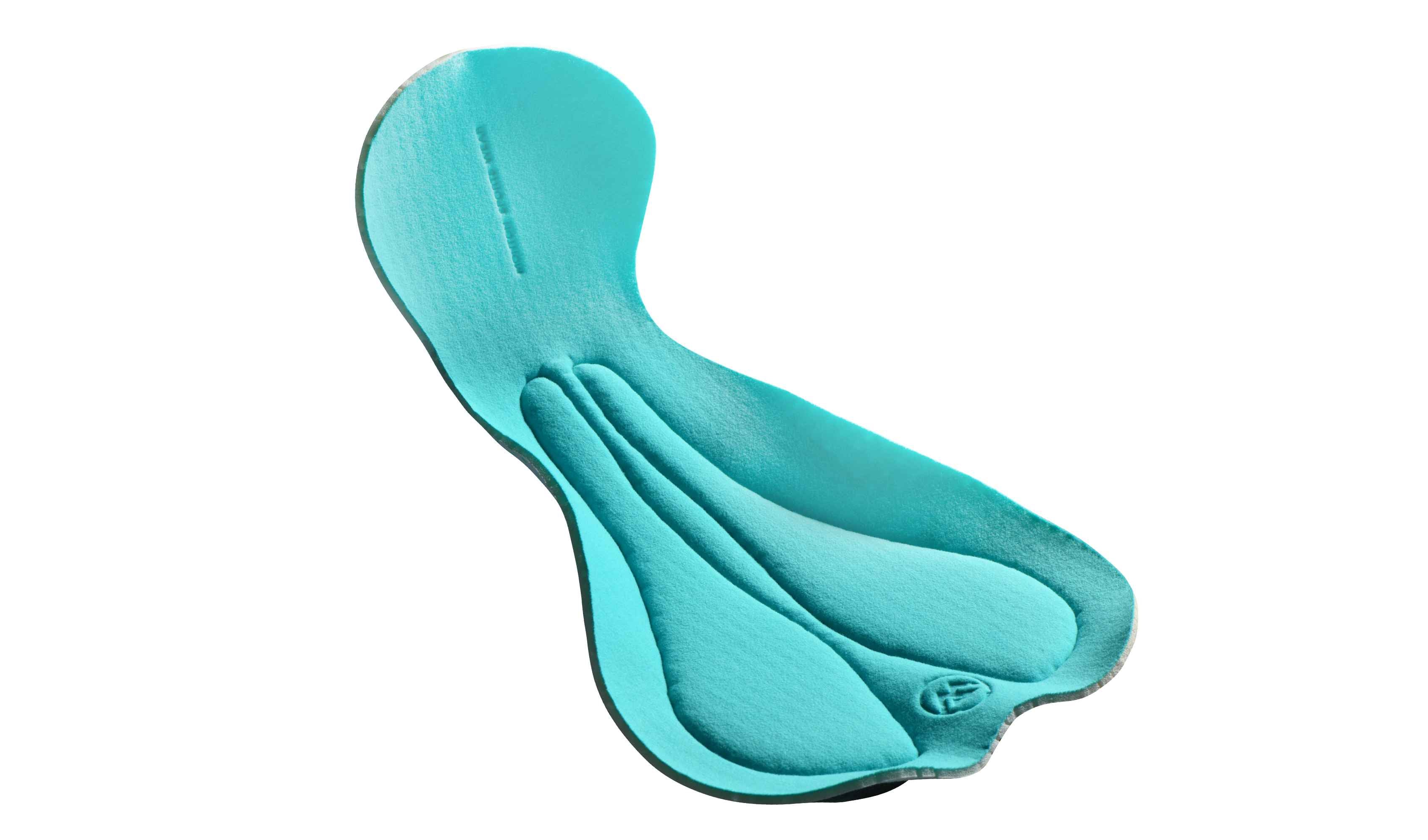 chamois pad