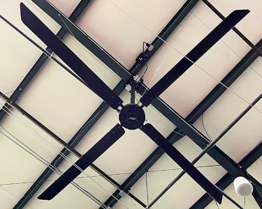 Hunter XP Industrial Ceiling Fan in Indoor Training Facility
