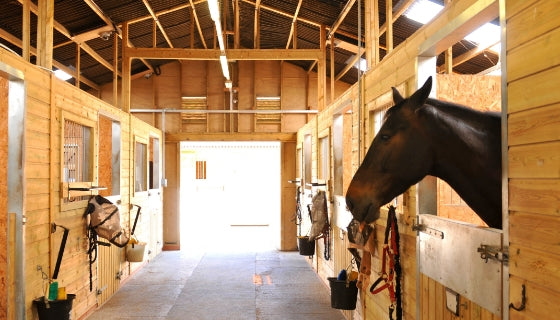 Horse Barn Ceiling Fans | Quote Horse Stall Fans - Hunter Fans