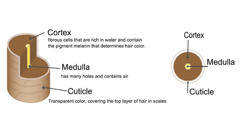 Qinfengyuanyang hair