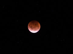 flower moon, blood moon, moon eclipse, red moon, full moon