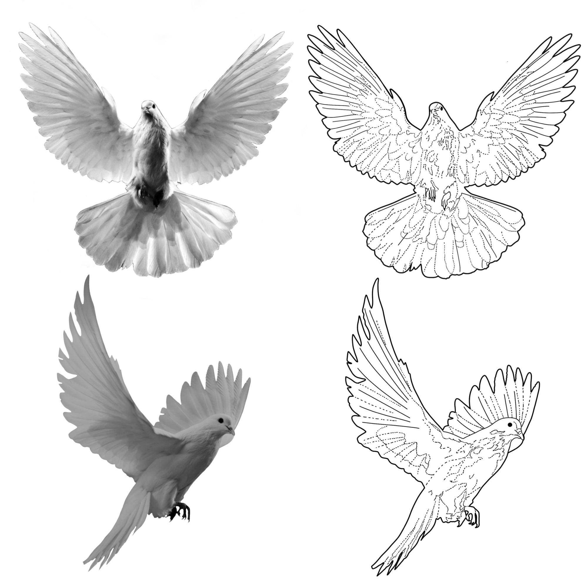 White Dove Tattoo Stencil Brush Set For Procreate  Tattoos By Nick ABC