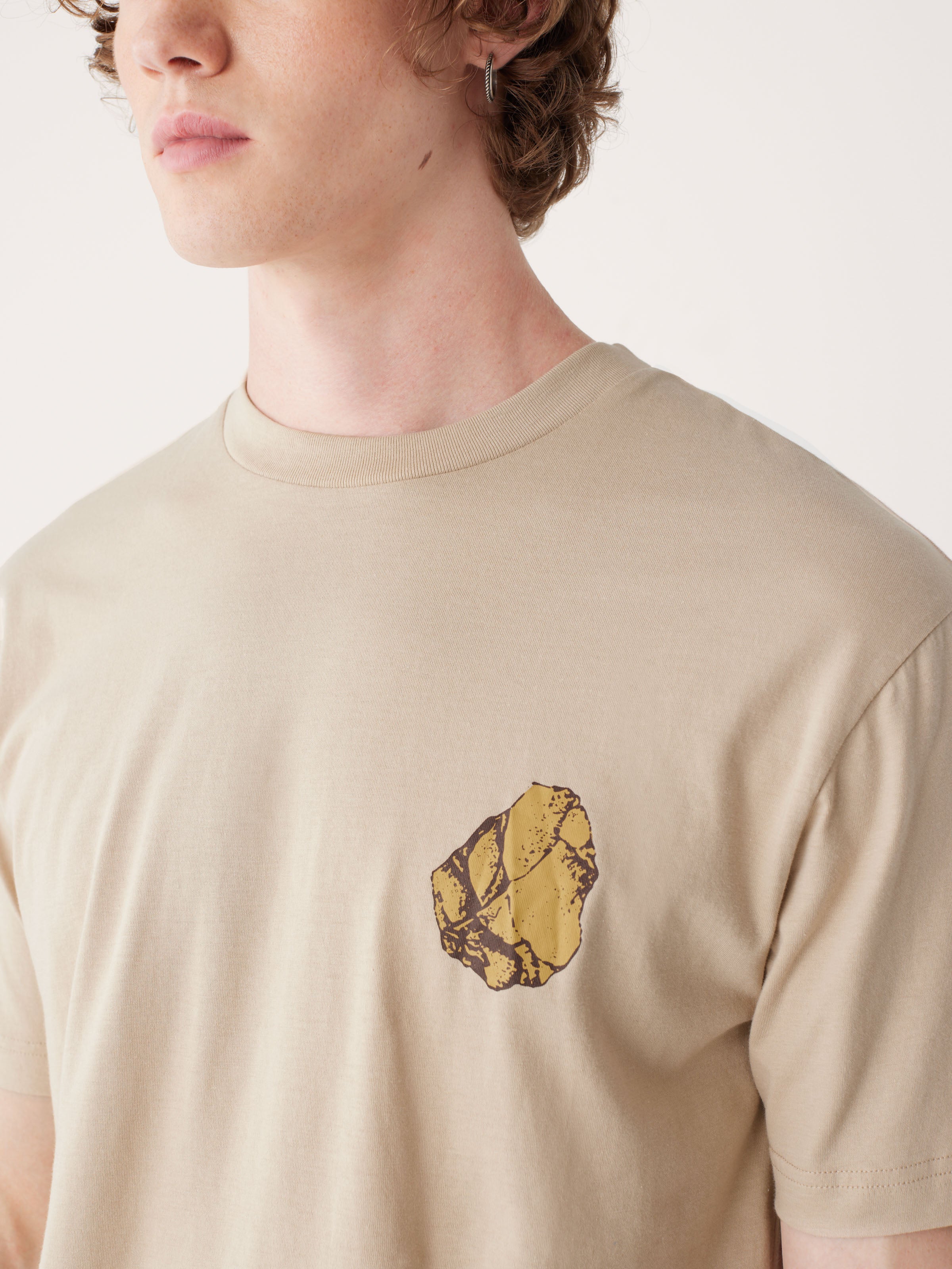 The Relaxed Fit Graphic T-shirt in Hummus Brown