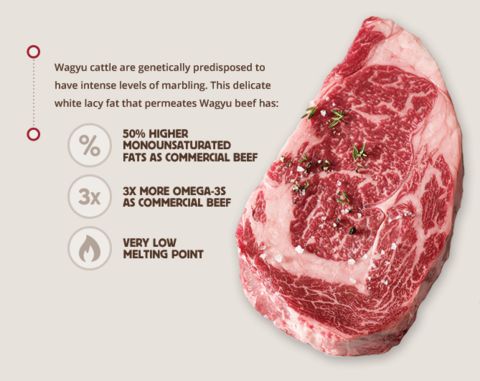 What is Wagyu meat?