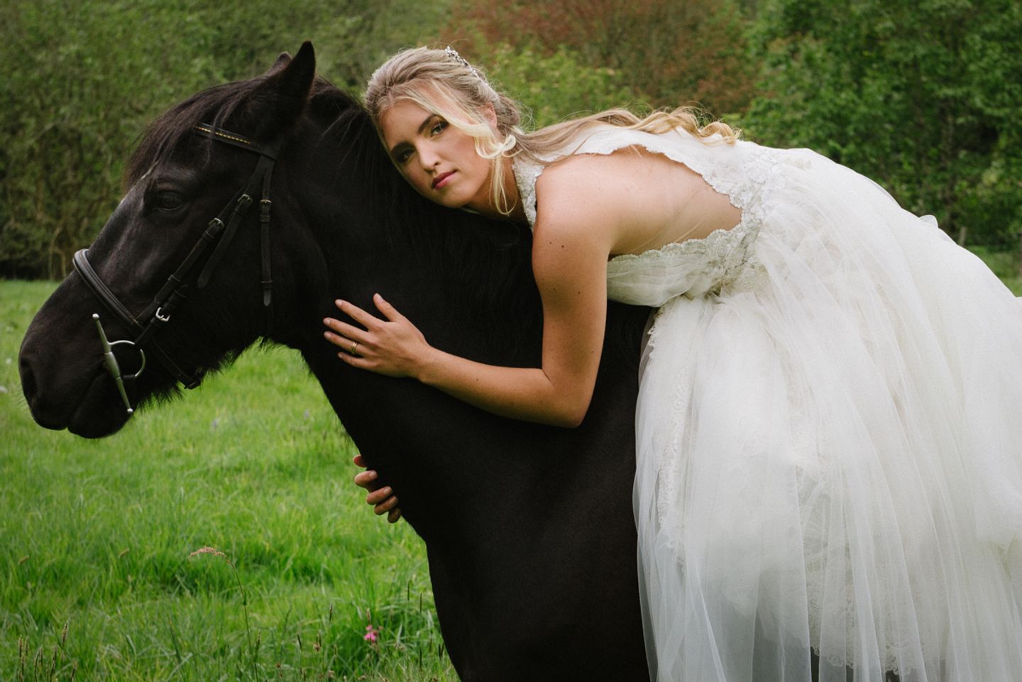 Bride on black horse