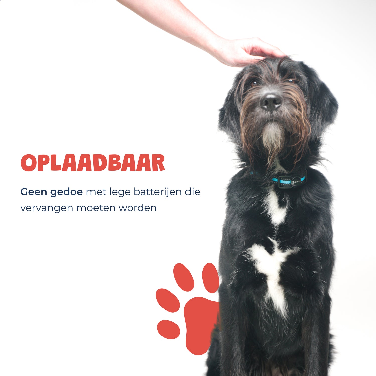 Anti-Blafband honden | oplaadbaar & waterdicht – JC NL