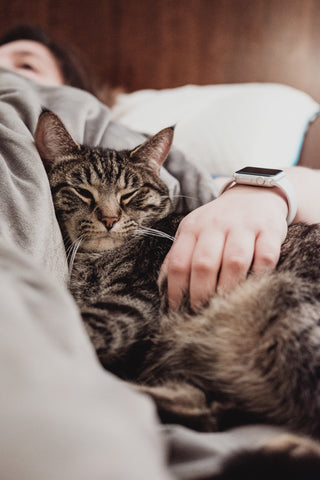 Kat slaapt vredig tegen haar baasje aan, illustrerend hoe het juiste kattenvoer kan bijdragen aan de algehele gezondheid en welzijn van je kat.