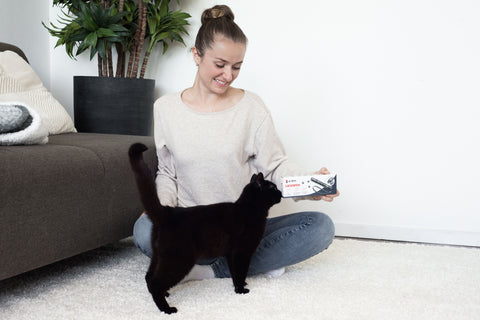 Kat in actieve houding terwijl hij speelt met de JC Pets Laserpen, die een stip op de vloer projecteert.