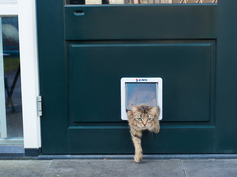 Kat gaat door het JC Pets kattenluik naar de buitenwereld, gezien vanuit buiten, benadrukt het belang van veilige uitgangsmogelijkheden zoals vermeld in onze kitten checklist.