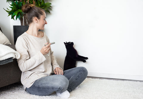 Kat sprint tegen een muur om een laserlichtje te vangen, bediend door het baasje met een JC Pets laserpen op de vloer, illustratief voor belangrijke speelbenodigdheden uit onze kitten checklist.