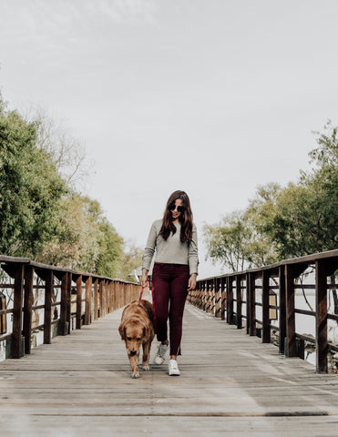 Vrouw wandelt met haar hond aan de riem over een schilderachtige brug, demonstrerend de essentiële hondenbenodigdheden zoals een comfortabele halsband en riem, en het belang van dagelijkse wandelingen in hondentraining.
