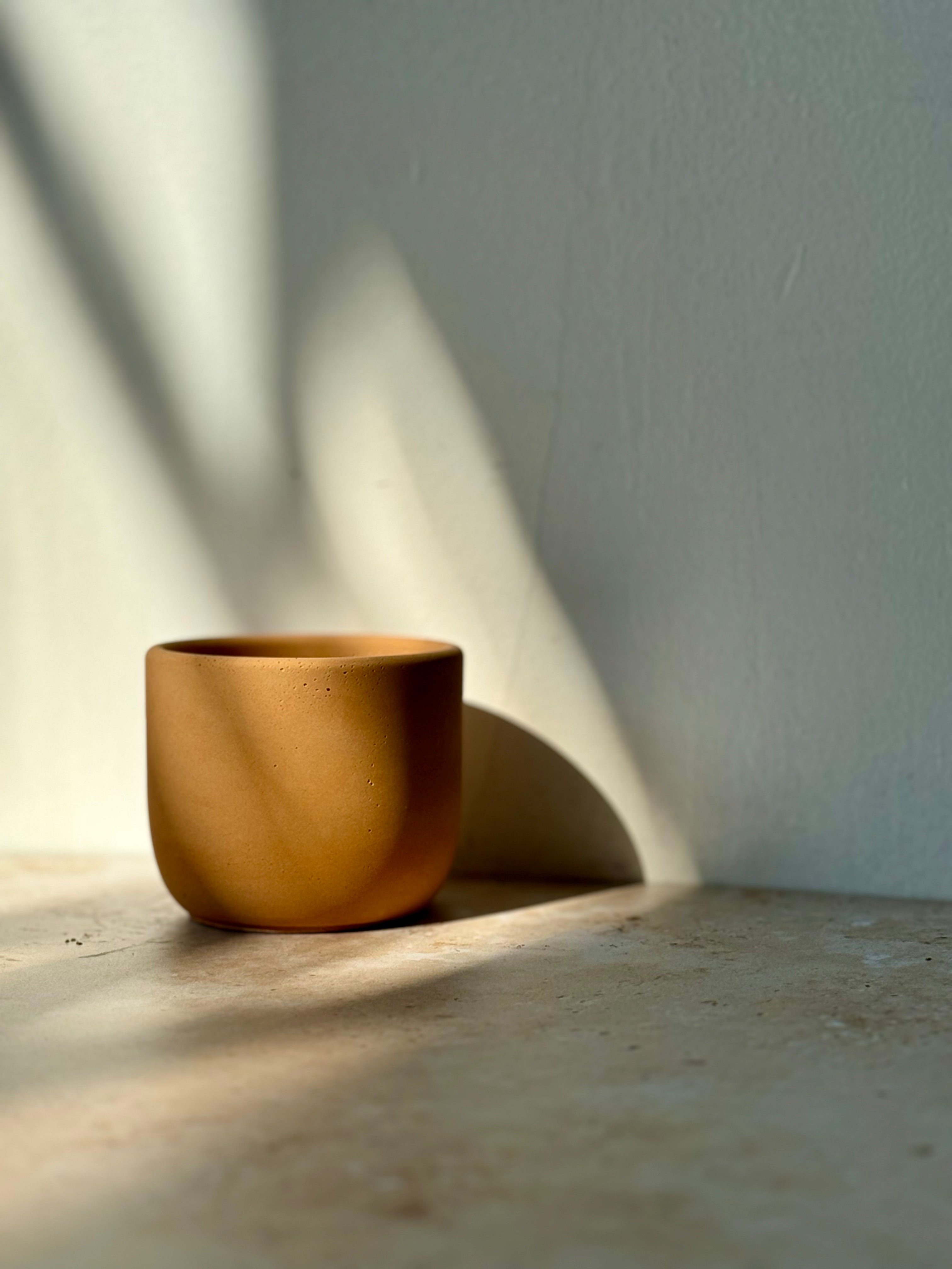 3" Mane Planter