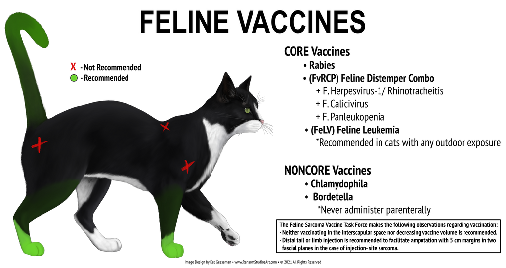 Feline Vaccines Poster Ransom Studios