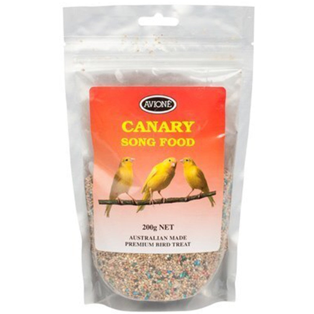 canary bird food