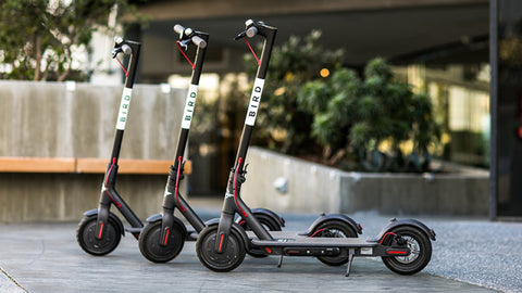 Bird Electric Scooters