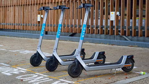 Bird Electric Scooters