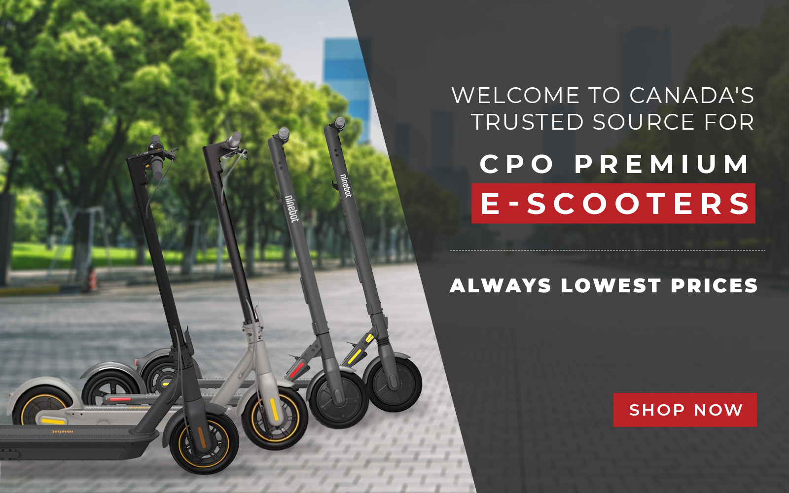 Buy Electric Scooters $449.00 | Warranty & Fast Shipping