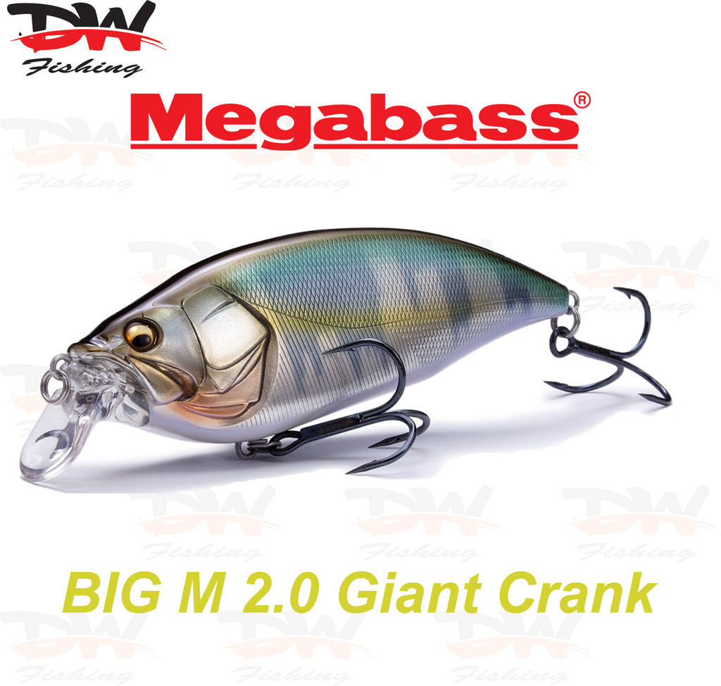 Megabass Big M 4.0 Giant Crank 126mm Lure  Hard Body Diving Lure – Dave's  Tackle Bag