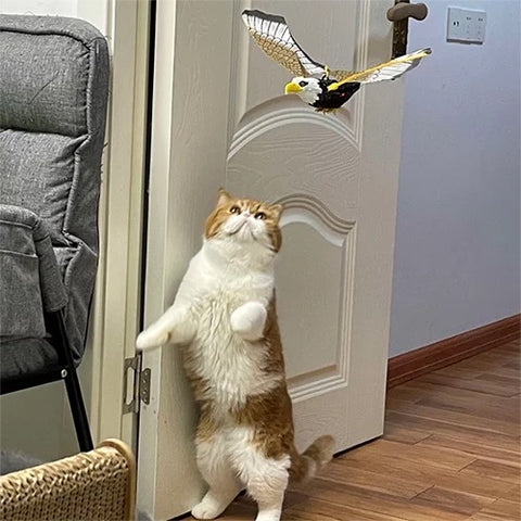 Dropship GARENT Flying Bird Cat Toy; Simulation Bird Interactive Cat Toy  For Indoor Cats; Interactive Electric Hanging Flying Bird Toy For Cats  Kitten Play Hunting Exercising Eliminating Boredom (Parrot) to Sell Online