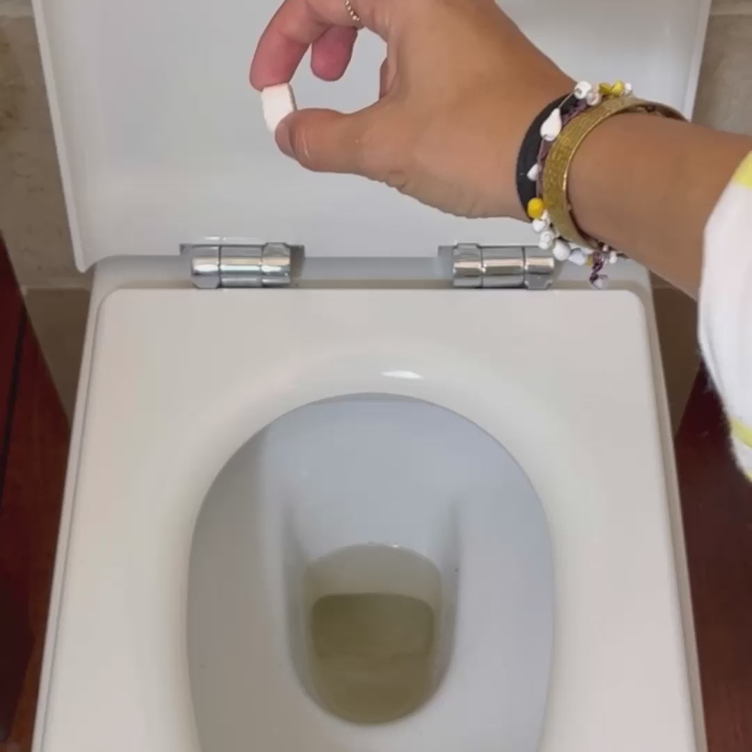 Pastilles WC Actif durables - kit démarrage I everdrop