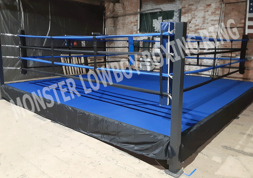 The Trojanfit Low Platform Boxing Ring – Trojanfit