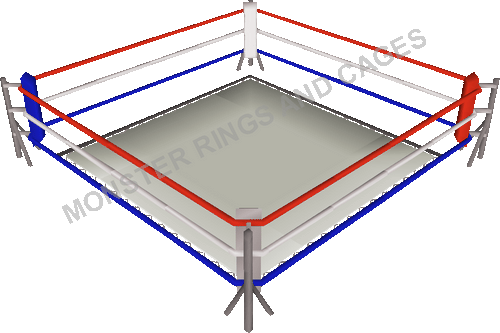 Biltuff Professional Boxing Ring - Complete - Free Shipping | Biltuff –  BilTuff