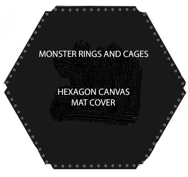 HEXAGON CAGE CANVAS