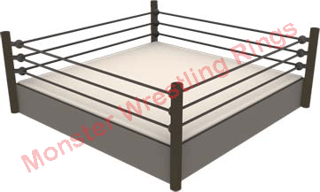 PRO WRESTLING RING Style 2