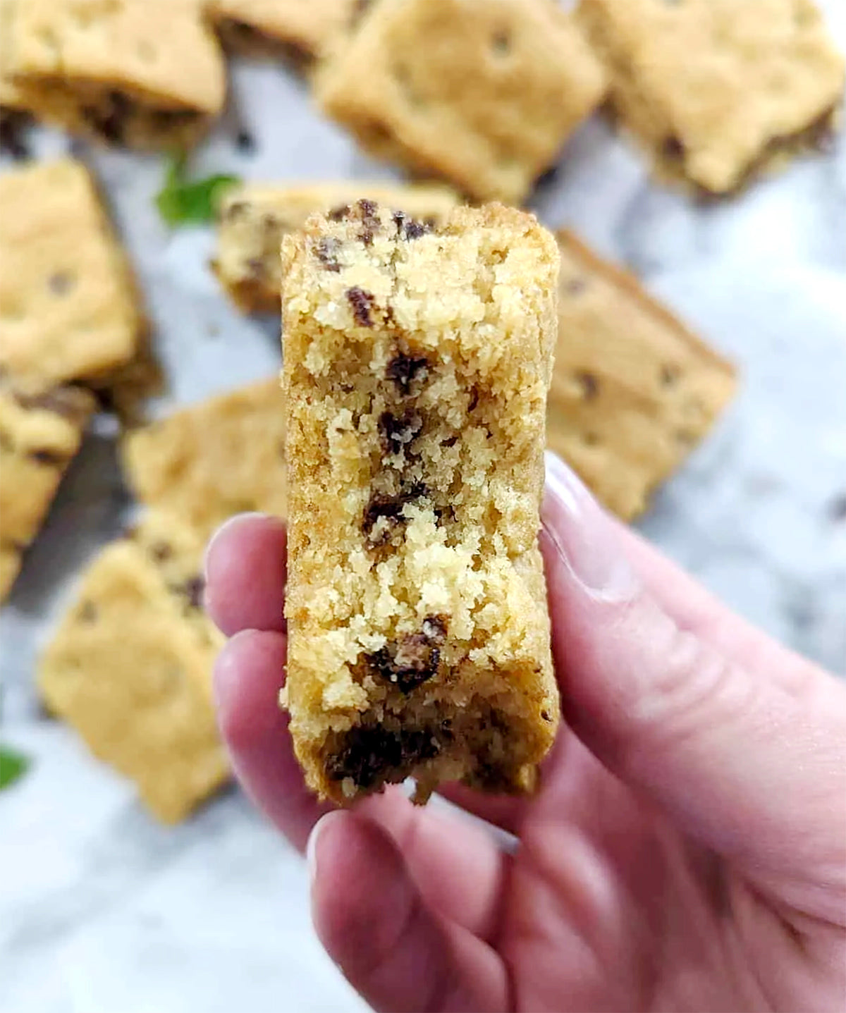 hand holding mint chocolate chip bars