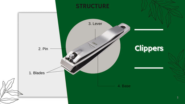 How To Use Nail Clippers Effectively and Common Mistake – Nghia