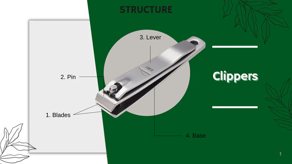 Structure large nail clipper