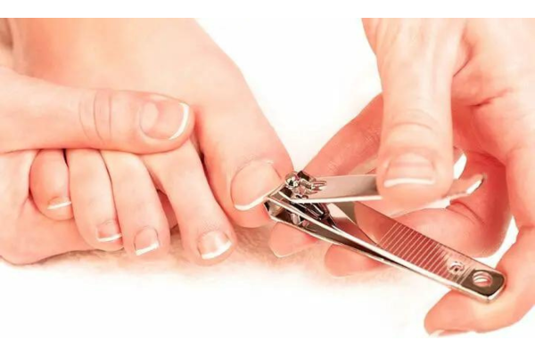 Large nail clippers