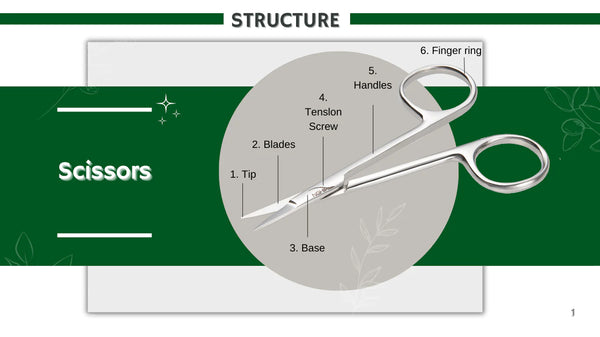 Structure of scissors