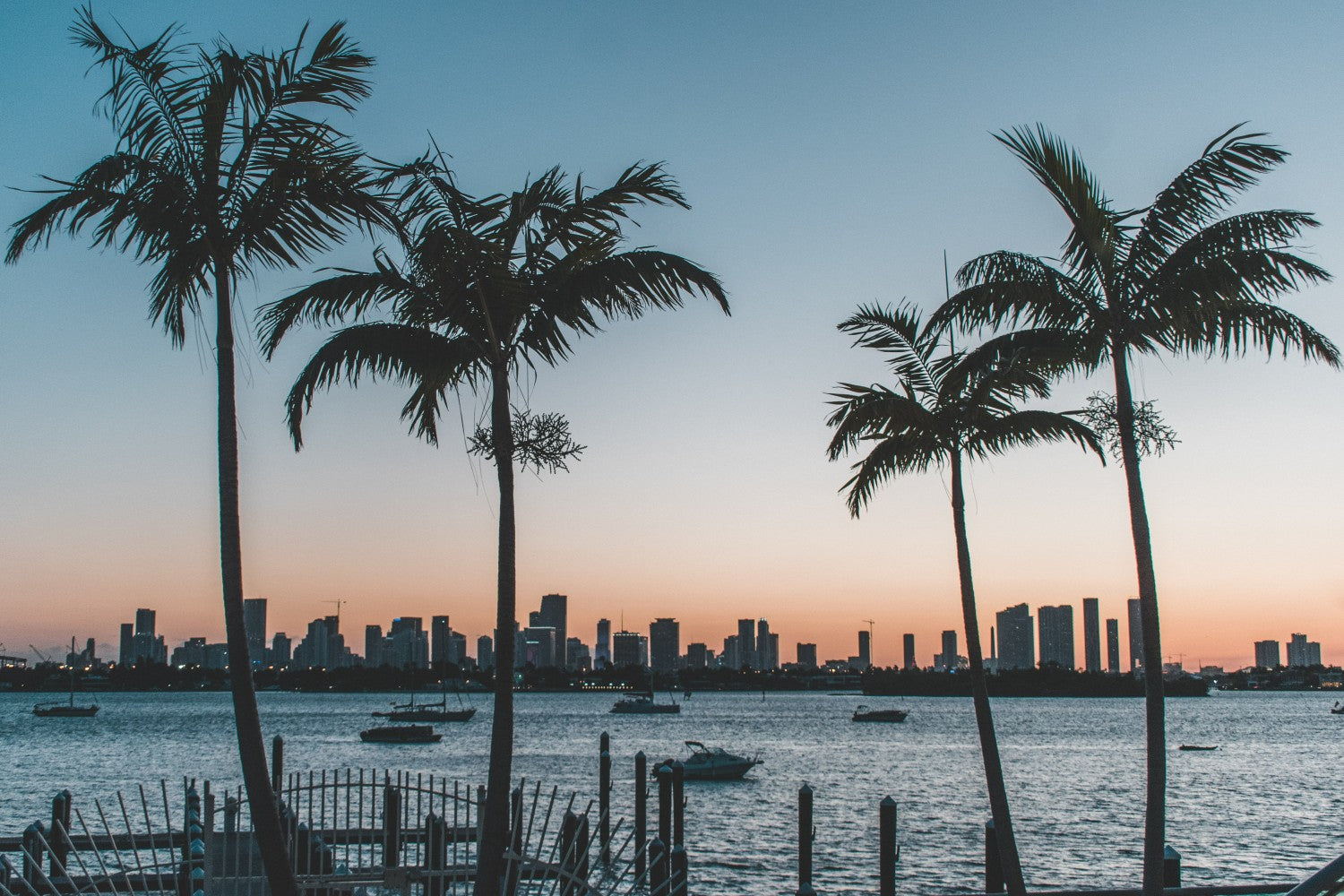 Florida cityscape with palm trees at sunset.