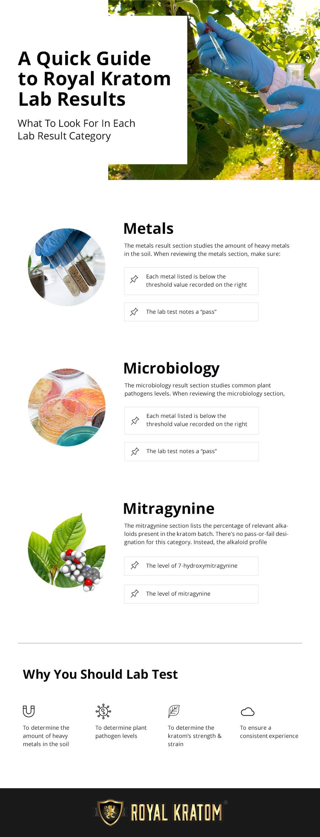 Lab Results Infographic