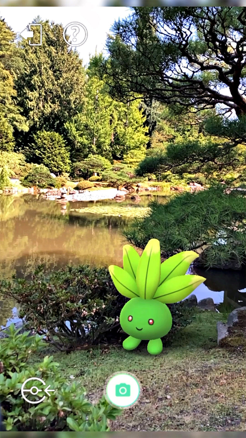 SHUNDO ODDISH