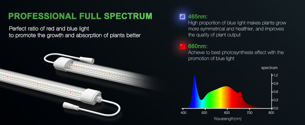 ts3000 spectrum