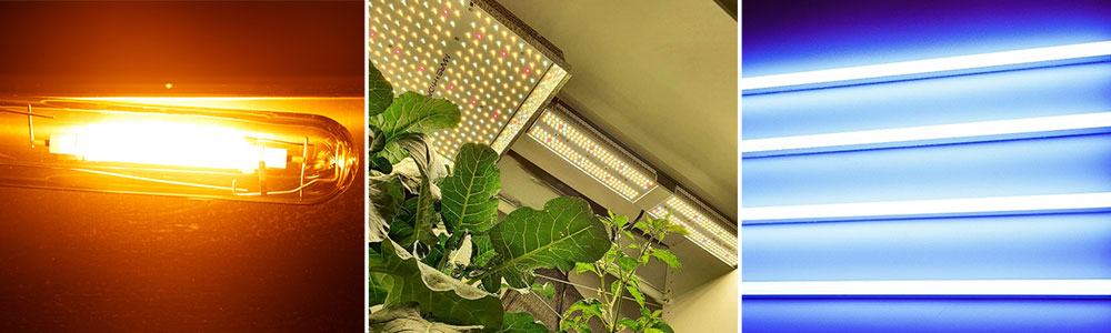 how far should led grow light be from plant