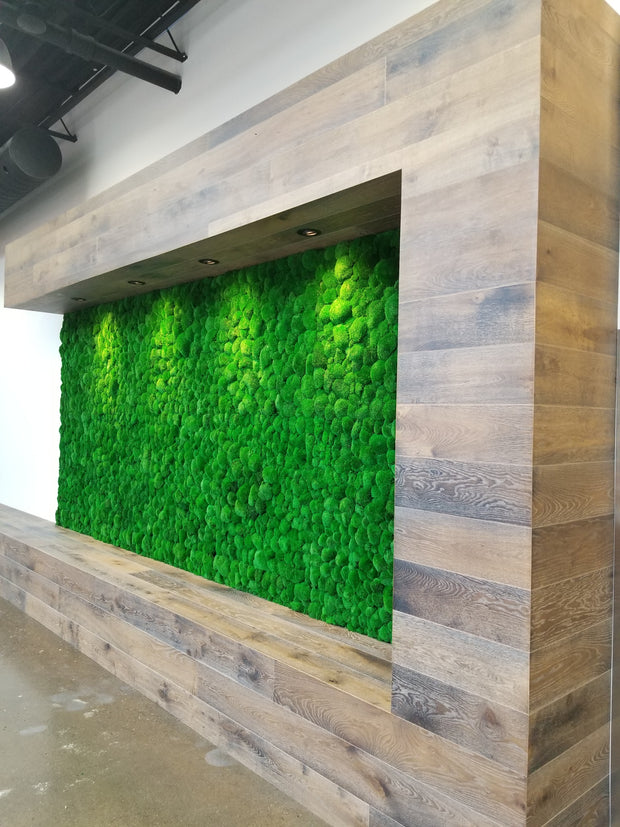 How to Build a Moss Wall - Using Flat Moss 