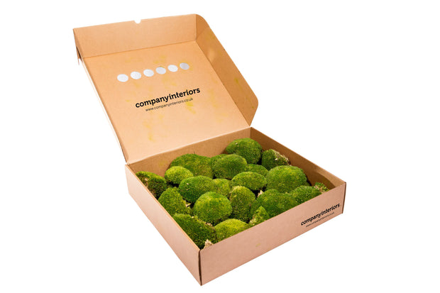 Preserved Ball Moss  Forest Green Bulk Box – Company Interiors