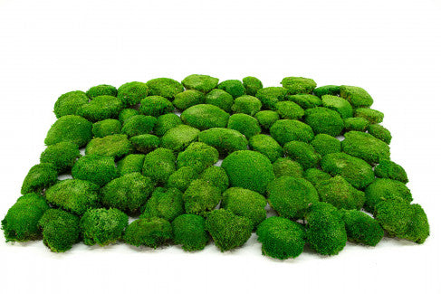 Preserved Ball Moss  Forest Green Bulk Box – Company Interiors