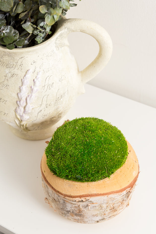 Bun moss in bulk for green walls