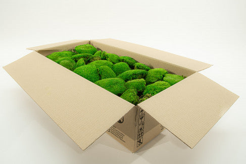 Preserved Ball Moss  Forest Green Bulk Box – Company Interiors