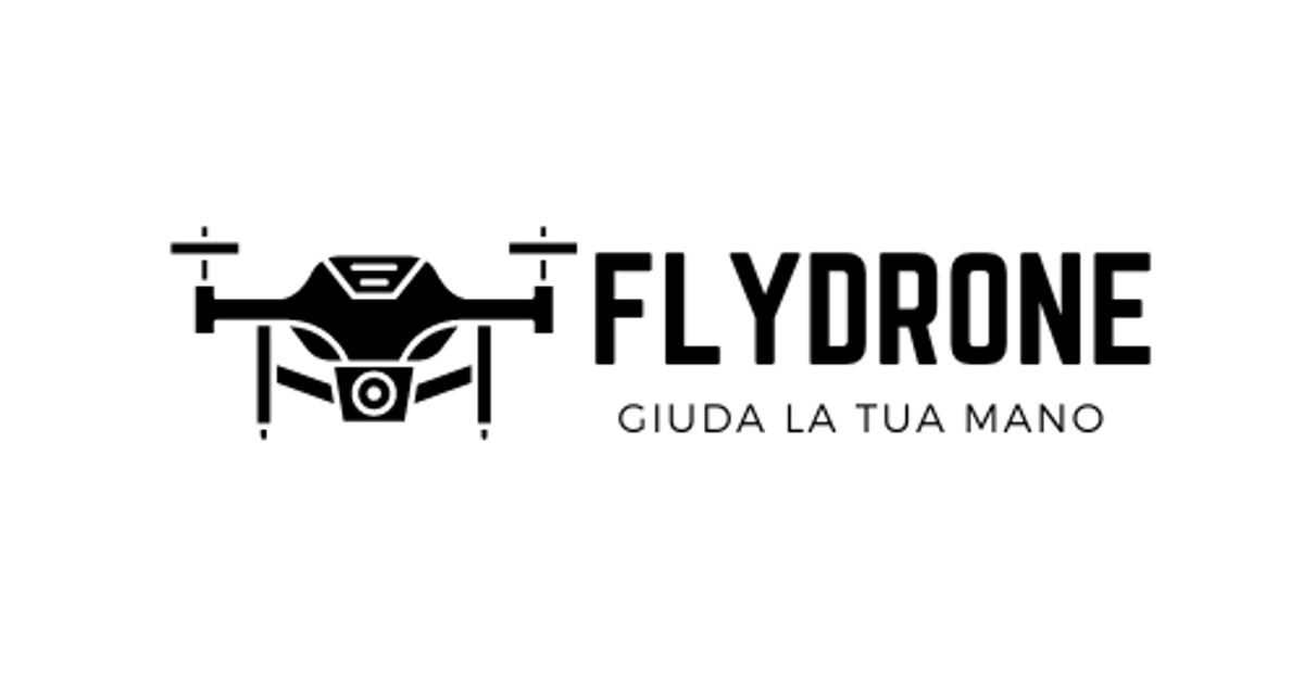 FlyDrone