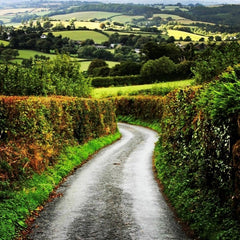 English Hedgerows