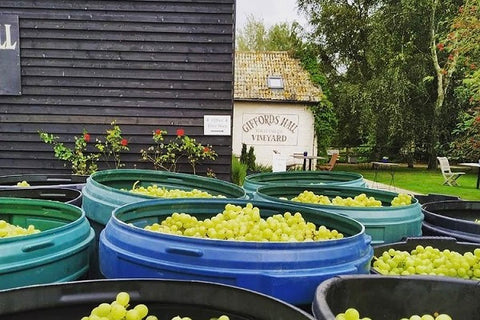 Giffords Hall winery with barrels of grapes at entrance
