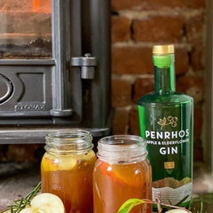 Hot Spiced Gin and Apple Punch