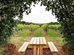 Picnic spot, Langham Wine Estate